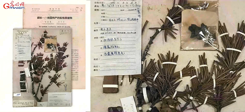 地球写给未来的“情书”——探秘植物界的“诺亚方舟”