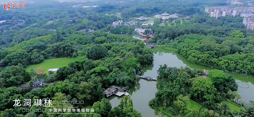 地球写给未来的“情书”——探秘植物界的“诺亚方舟”