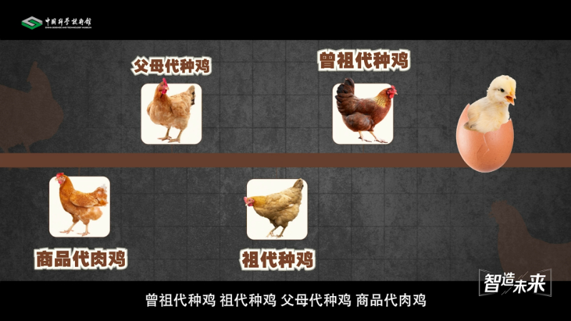 游水是有氧运动仍是无氧运动？真是长见识了！
