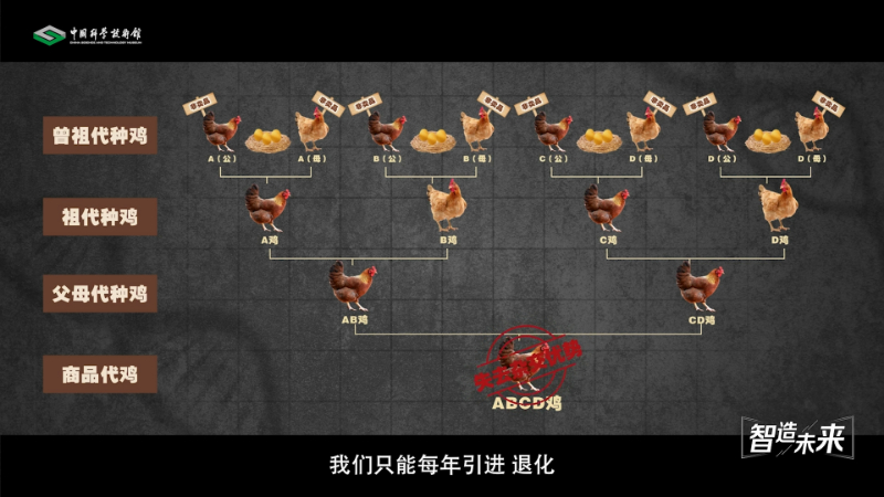 女性怎么预防白带异常？预防白带异常怎么做？