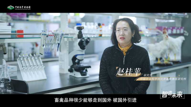 乙酰半胱氨酸颗粒：儿童咳嗽的救星仍是危险？