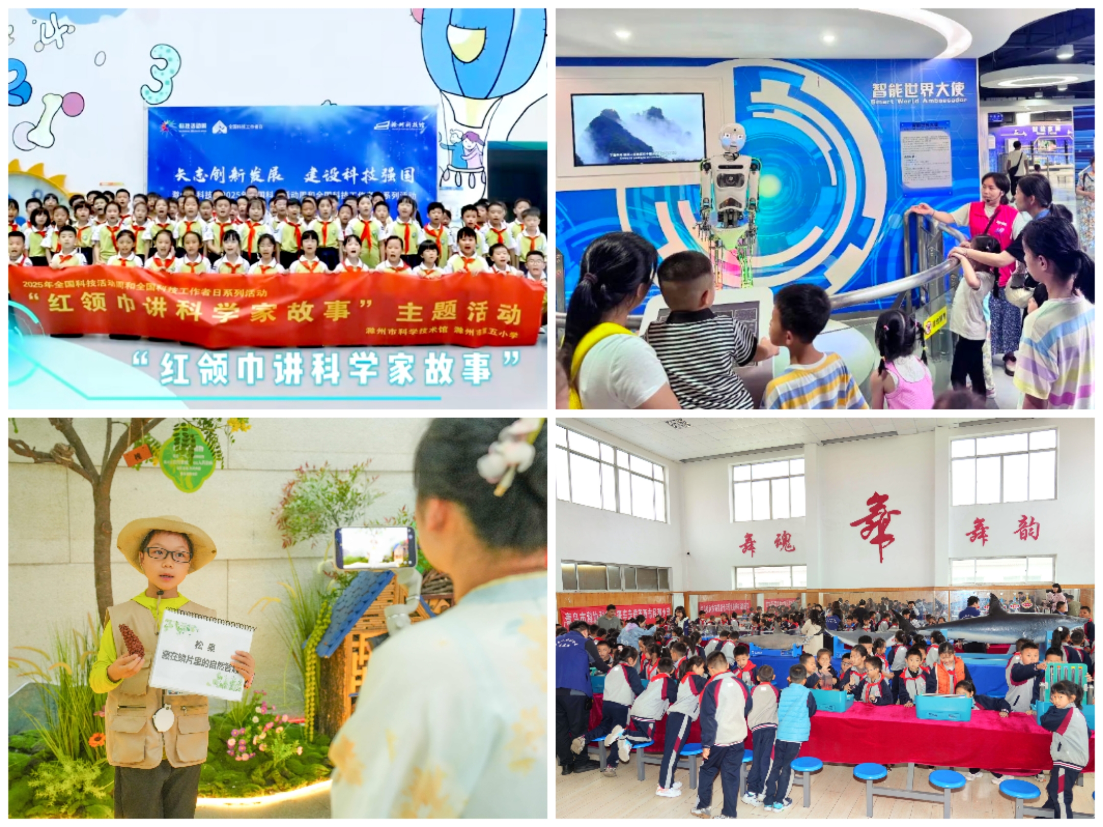 点燃少年科学热情，2025年“少年兴・强国梦”活动举办