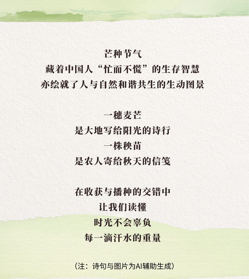 AIGC长图·芒种丨稻麦盈野，忙种祈丰