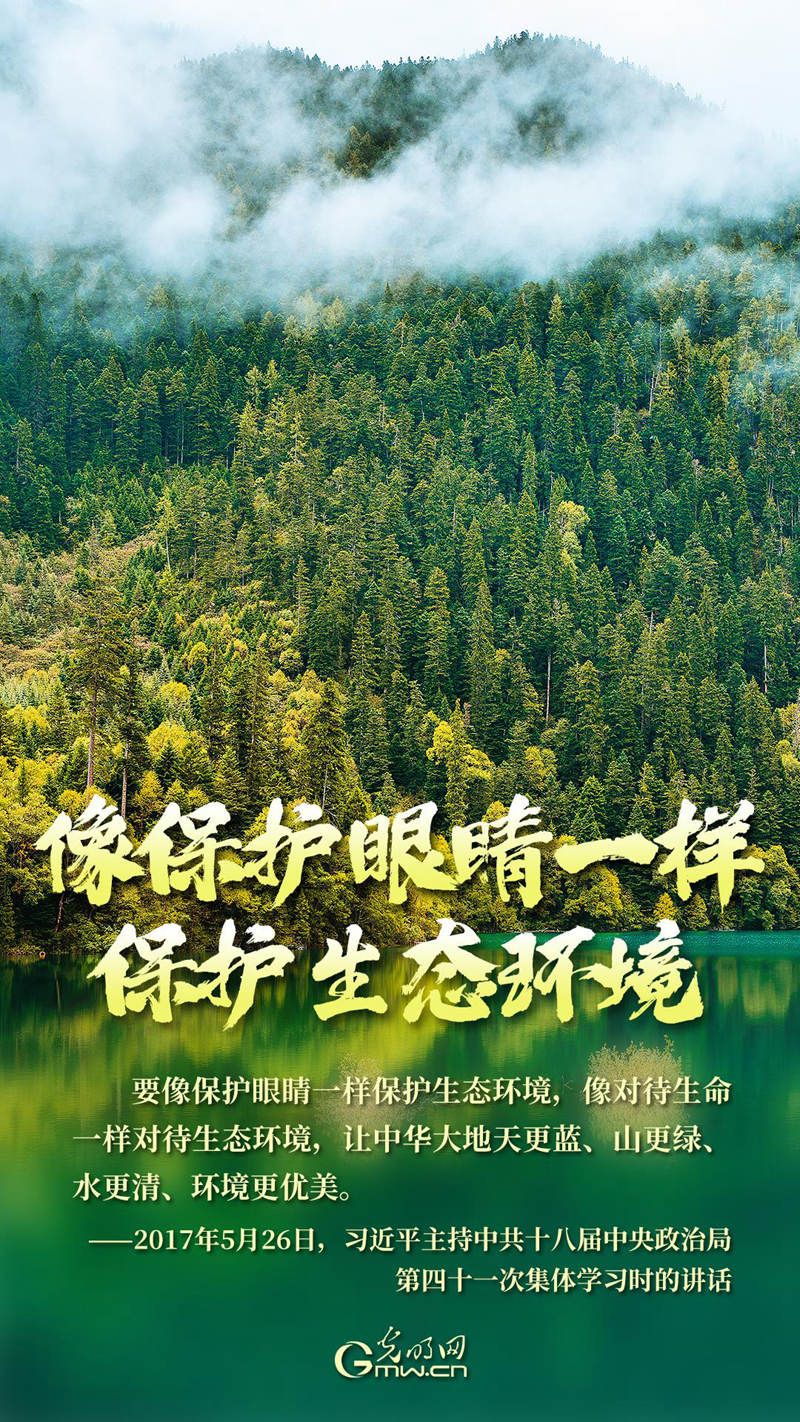 海报丨绿色家园共守护，美丽中国我先行