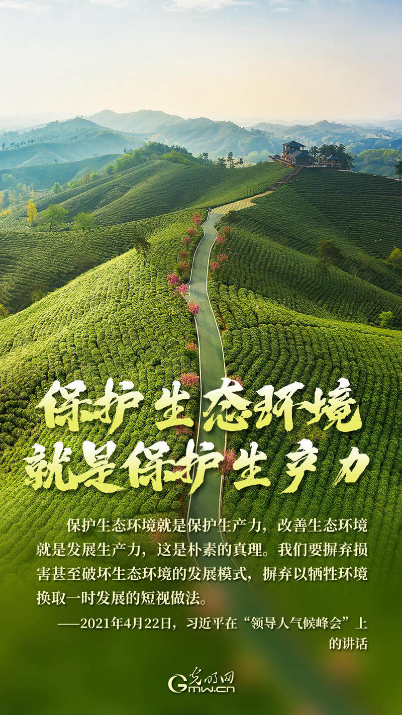 海报丨绿色家园共守护，美丽中国我先行
