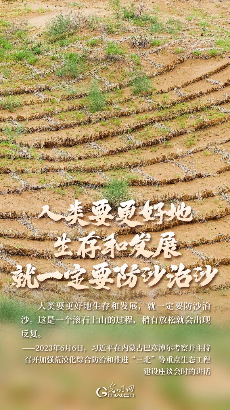 海报丨黄沙披绿，美丽中国谱新章