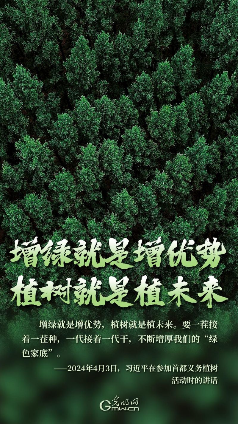 海报丨黄沙披绿，美丽中国谱新章