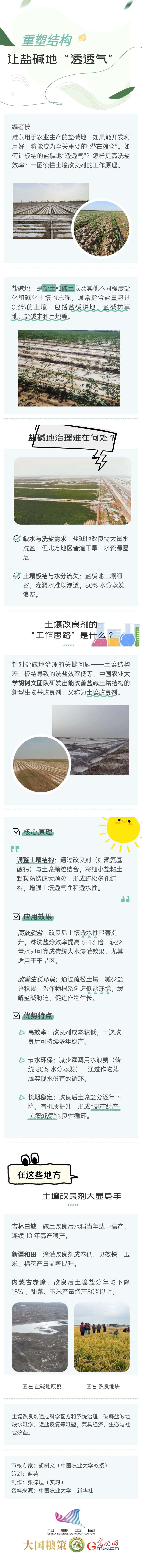 【大国粮策】重塑结构，让盐碱地“透透气”