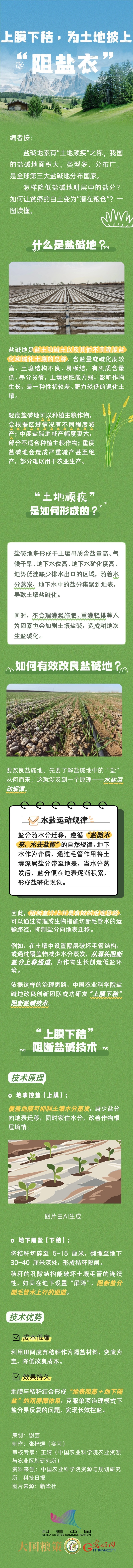 【大国粮策】全国土地日丨上膜下秸，为土地披上“阻盐衣”