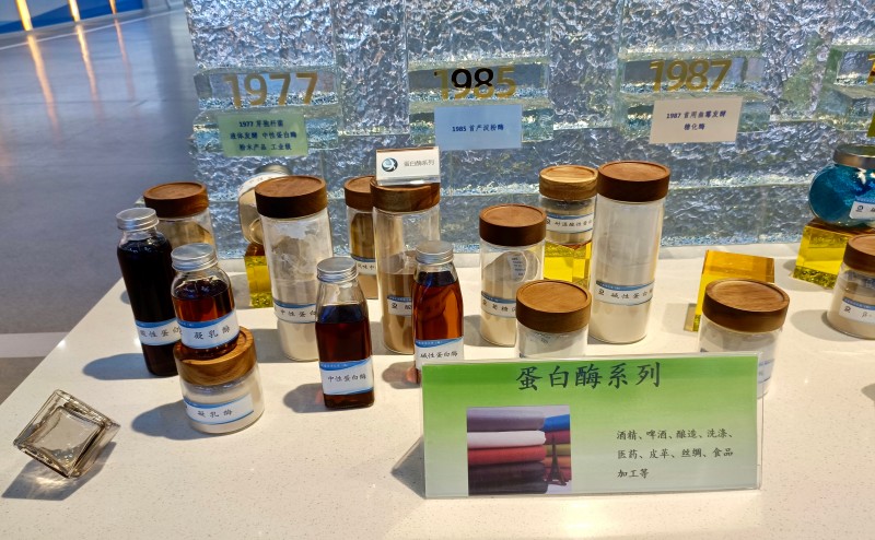【大国粮策】一粒中国好酶，解决了猪的消化不良