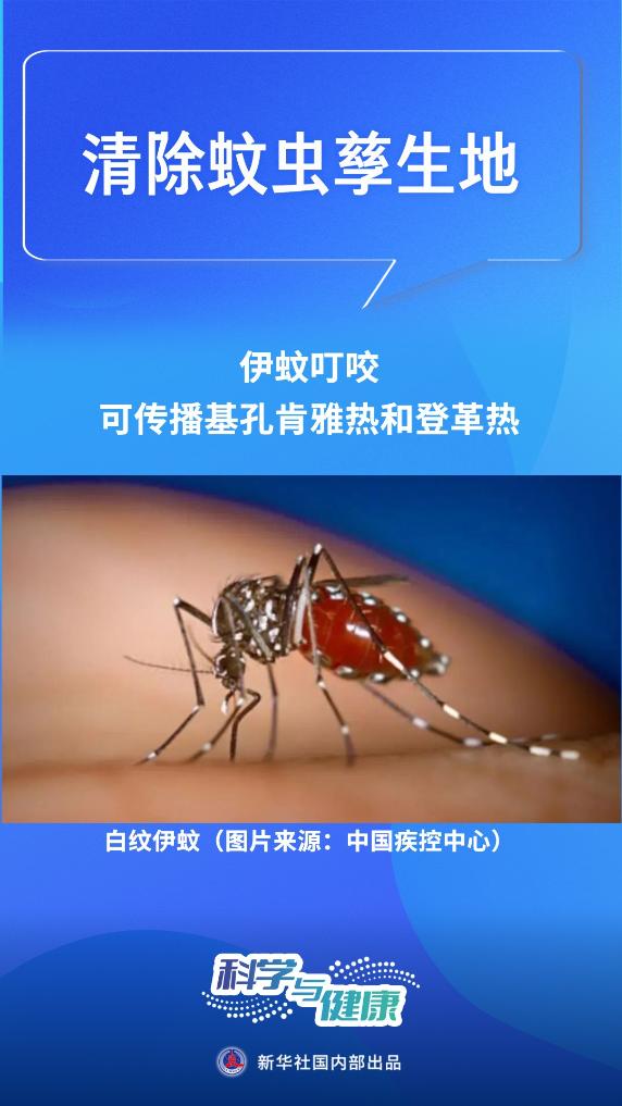 “小”蚊虫带来“大”麻烦？牢记这四点有效预防