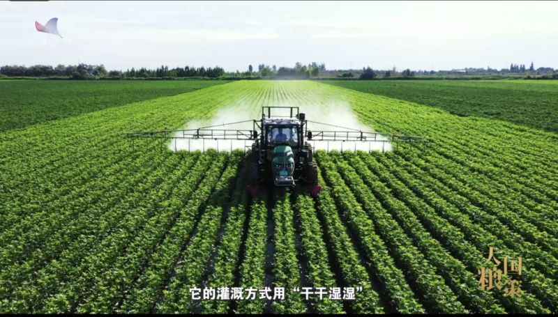 【大国粮策】一碗米饭的背后：如何让“好吃、高产、省成本”同时发生？这个专业说：我能！