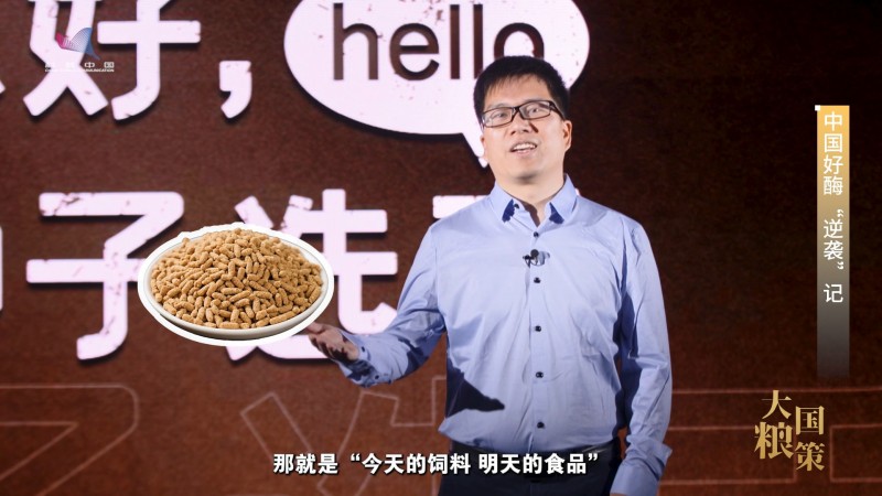 【大国粮策】饲料行业的底气，藏在这粒“中国好酶”里