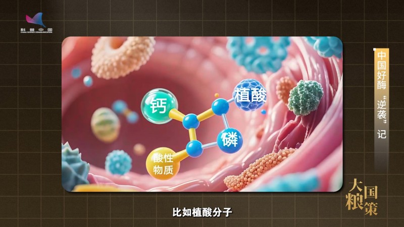 【大国粮策】饲料行业的底气，藏在这粒“中国好酶”里