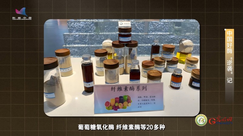 【大国粮策】饲料行业的底气，藏在这粒“中国好酶”里