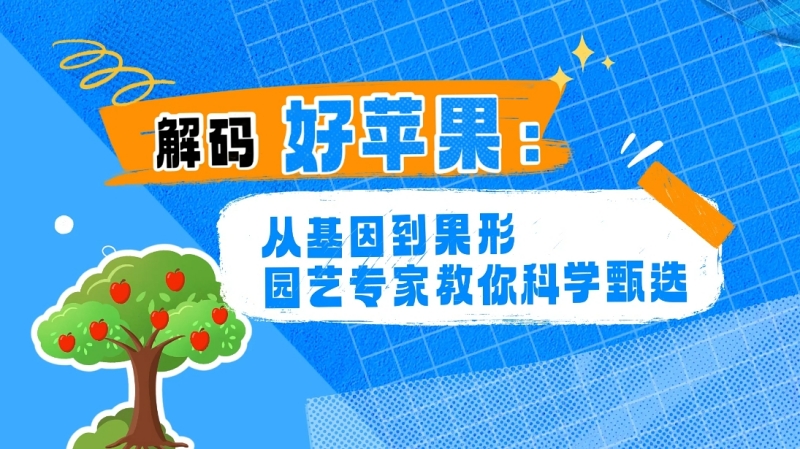 【大国粮策】解码好苹果：从基因到果形，园艺专家教你科学甄选