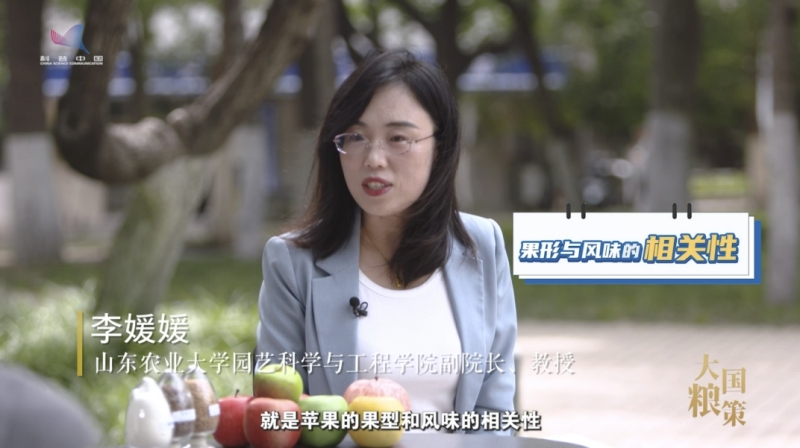 【大国粮策】解码好苹果：从基因到果形，园艺专家教你科学甄选