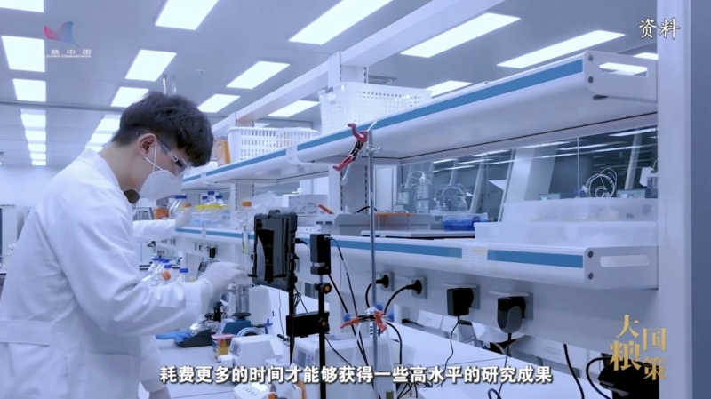 【大国粮策】“内卷”还是“躺平”？高校农学老师支招