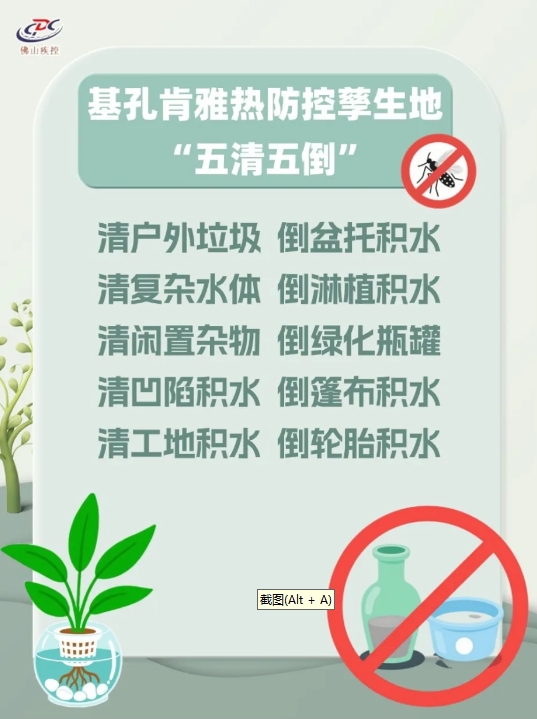 清积水，灭蚊虫！基孔肯雅热这样防