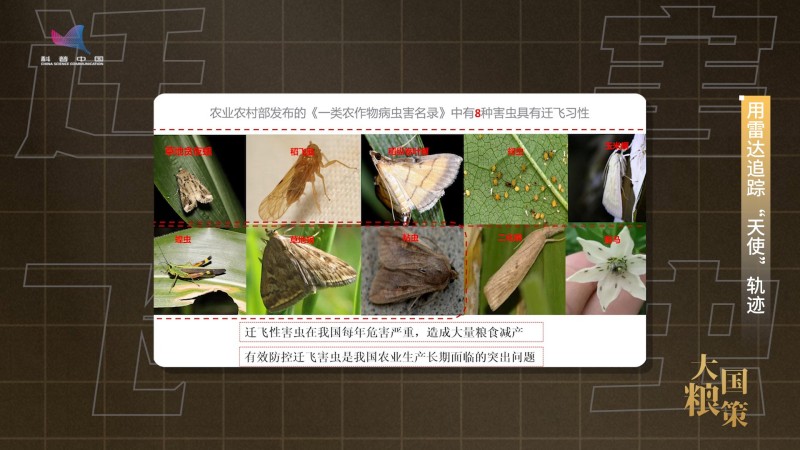 【大国粮策】雷达为“眼” 筑牢守护粮食安全的中国防线