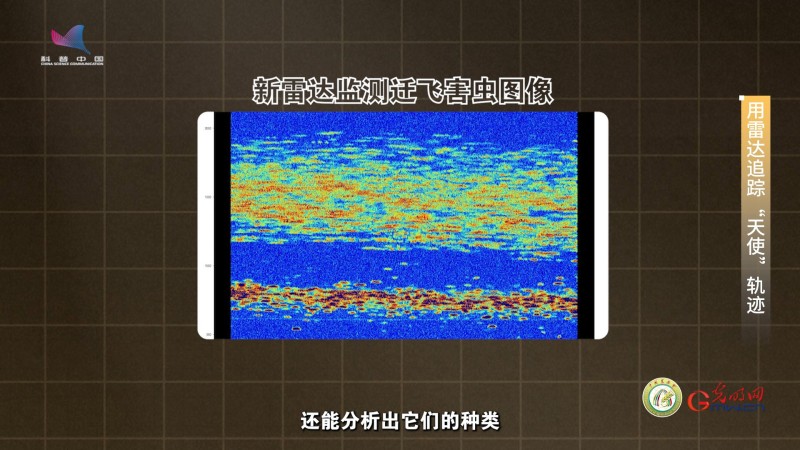 【大国粮策】雷达为“眼” 筑牢守护粮食安全的中国防线