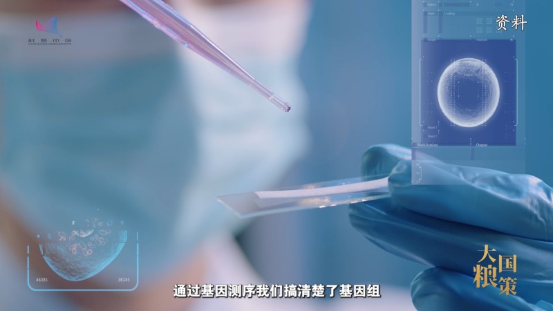 如何让牧草“主动适应”？从生殖发育破解“种草”难题