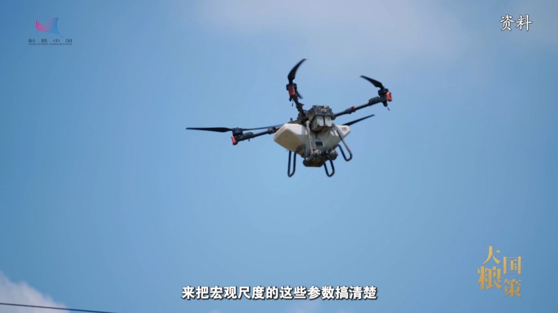 如何让牧草“主动适应”？从生殖发育破解“种草”难题