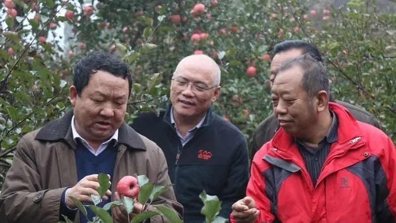 【大国粮策】瓜果梨桃“不寻常”，果树学专业有“玄机”！