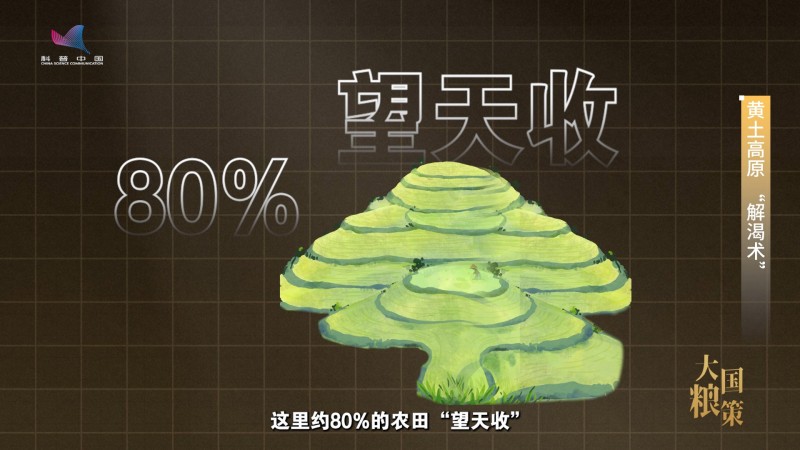 【大国粮策】告别“望天收”，用科技为农田“精准浇水”