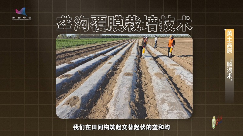 【大国粮策】告别“望天收”，用科技为农田“精准浇水”