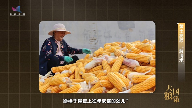 【大国粮策】告别“望天收”，用科技为农田“精准浇水”