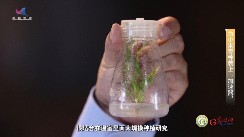 【大国粮策】为育种装上“加速器” 把金色的希望种在大地上