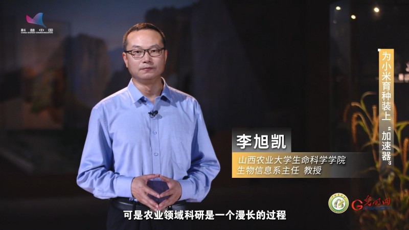 【大国粮策】为育种装上“加速器” 把金色的希望种在大地上