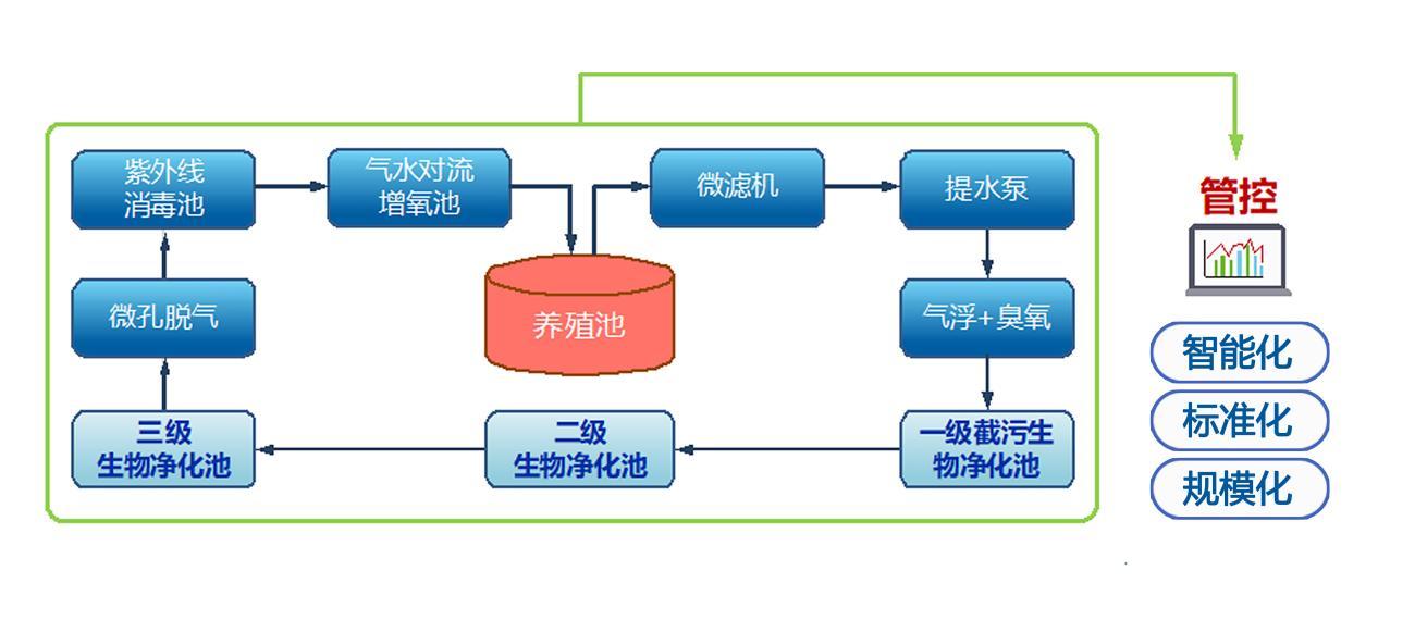 【大国粮策】养鱼不费水？这项“循环黑科技”让水产养殖又绿又赚！