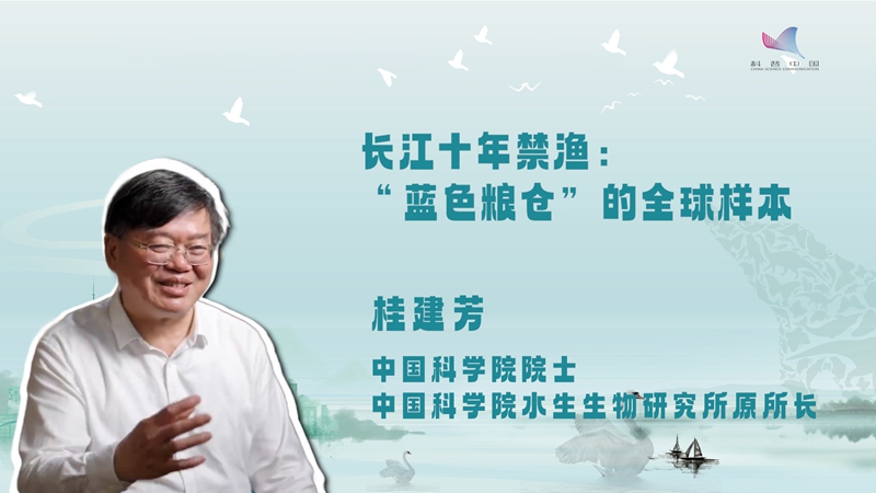 科普慕课｜长江十年禁渔：“蓝色粮仓”的全球样本
