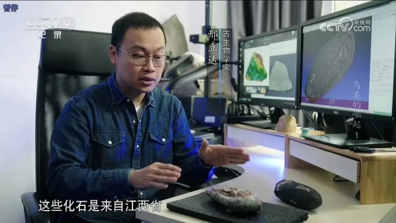 我在北京做科普 | 寻迹亿万年：从“恐龙迷”到青年学者的跨界与坚守