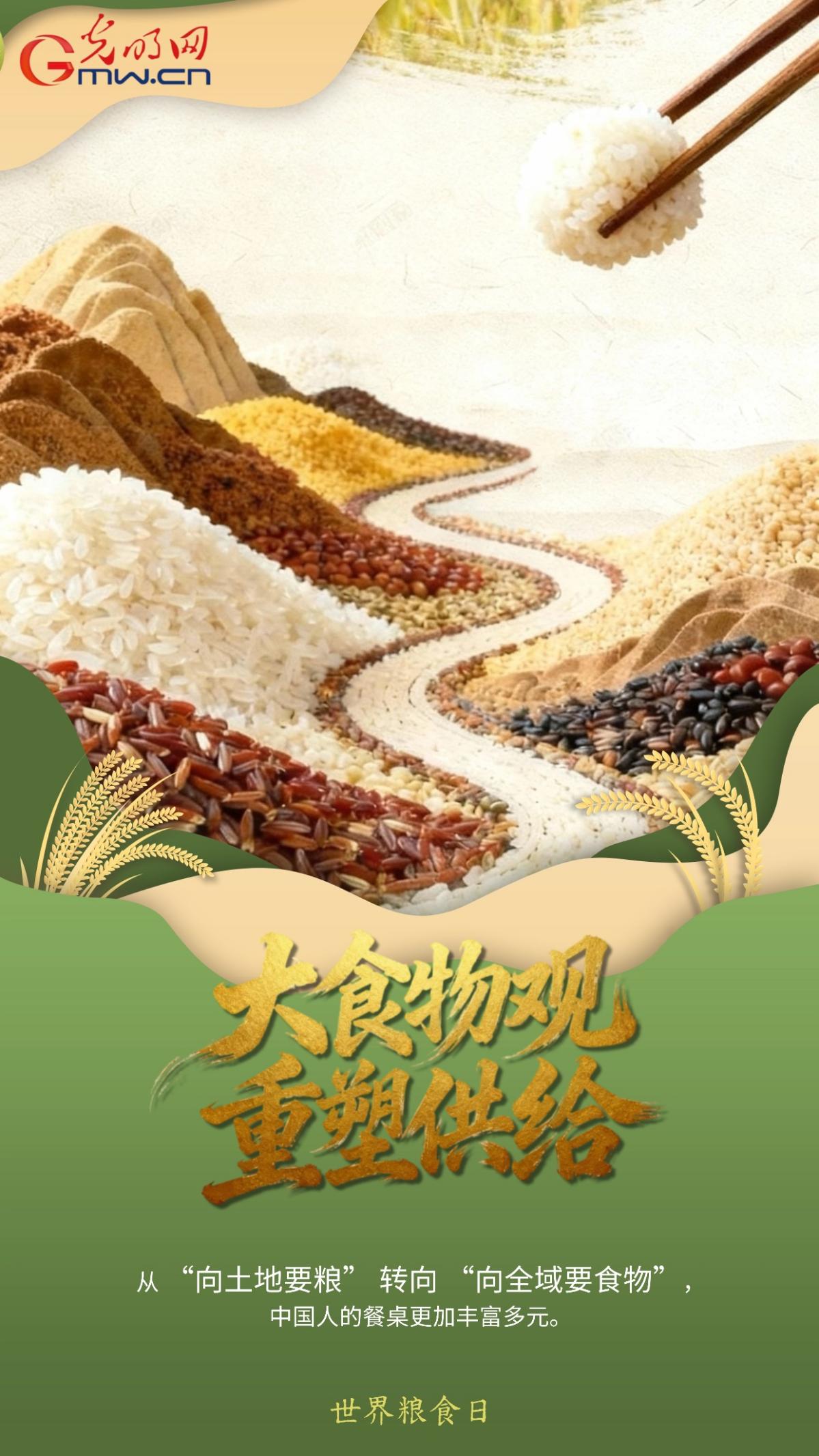 世界粮食日｜从“粮”到 “食”，一组海报看中国粮安答卷