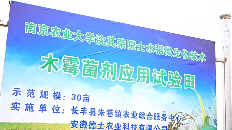 二十载磨一剑，“菌医生”让沃土藏金