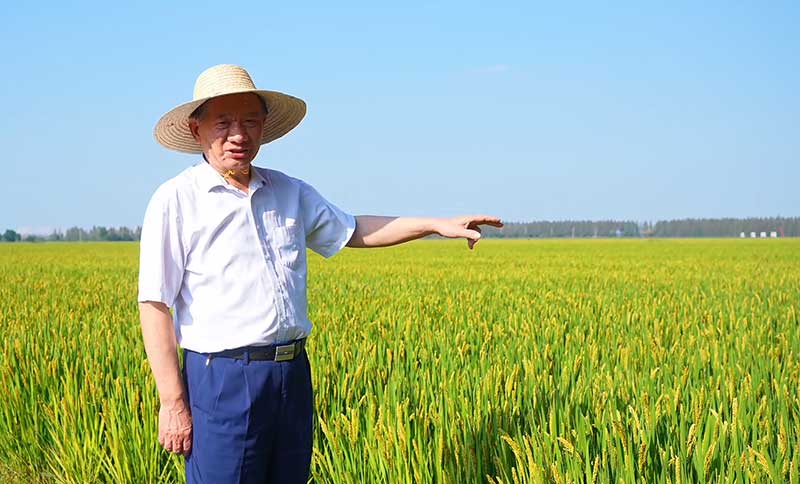 二十载磨一剑，“菌医生”让沃土藏金