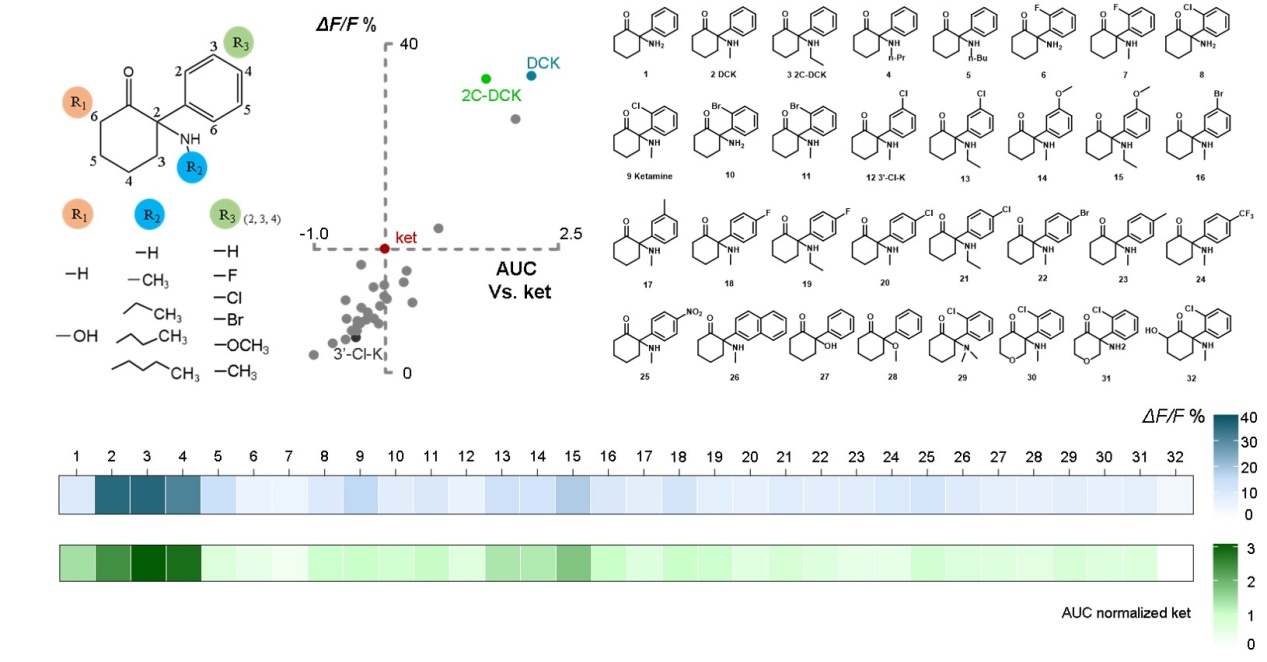 《自然》杂志：氯胺酮抗抑郁之谜，被“腺苷”破解了