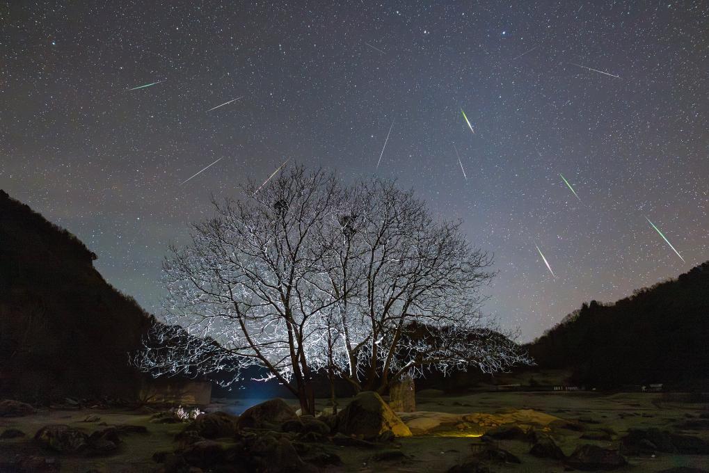 狮子座流星雨18日凌晨迎来极大
