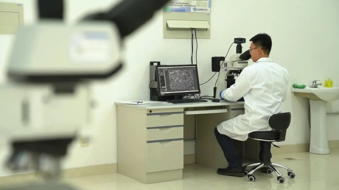 科学报国正当时｜新材料 “芯”机遇——走近电子信息材料专业