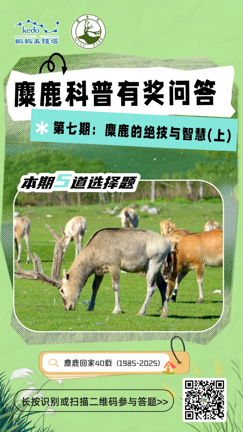 解锁麋鹿湿地生存绝技 ！蝌蚪五线谱麋鹿科普有奖问答第七期趣味上线