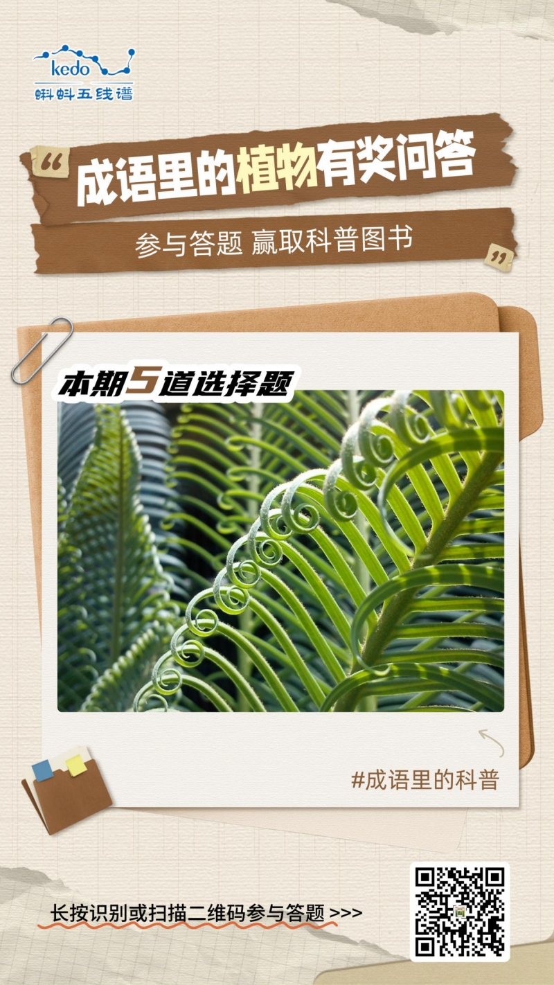 生机入语，草木皆知——蝌蚪五线谱带你读懂成语里的植物科学