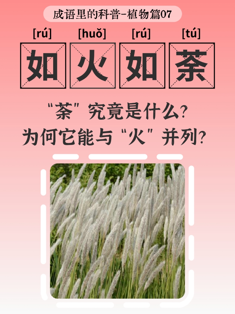 生机入语，草木皆知——蝌蚪五线谱带你读懂成语里的植物科学
