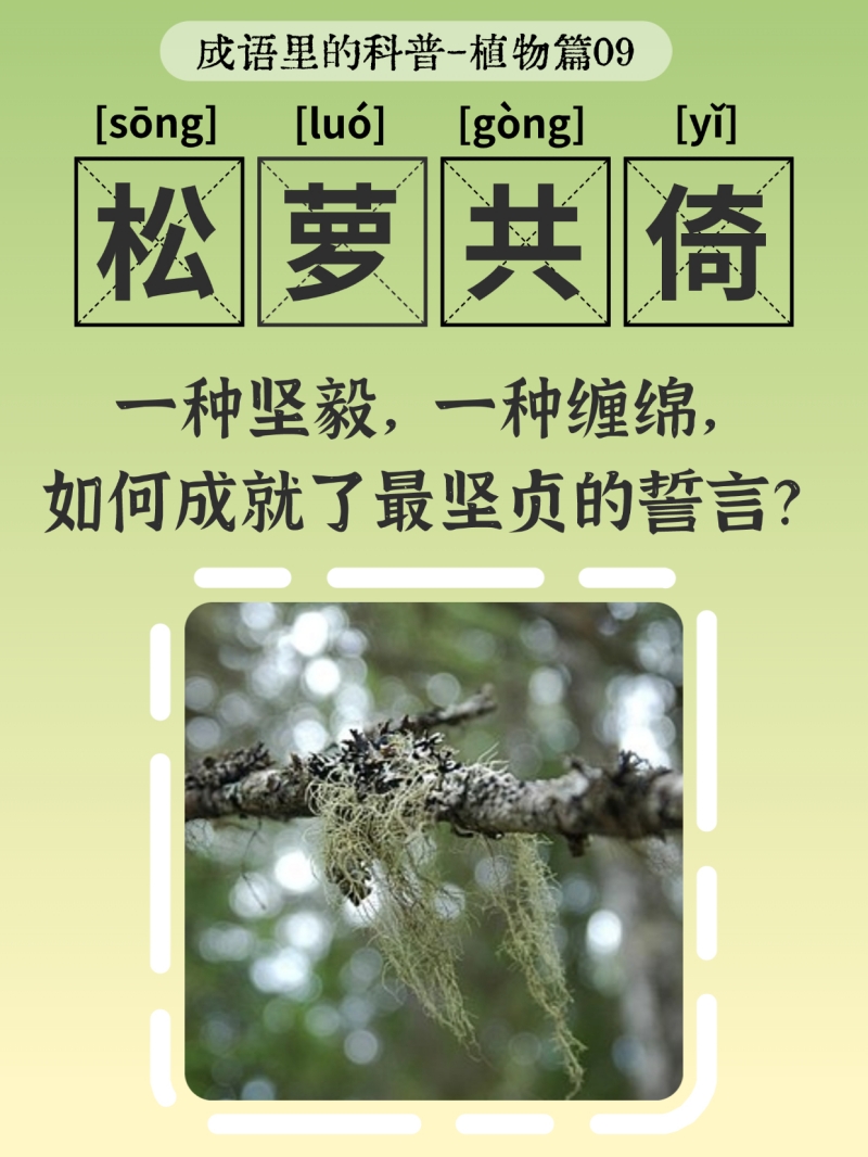 生机入语，草木皆知——蝌蚪五线谱带你读懂成语里的植物科学
