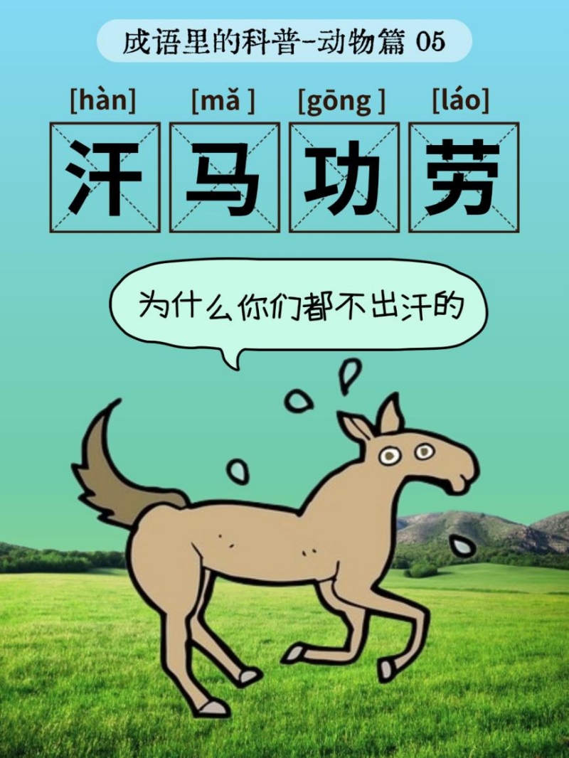 鸟兽虫鱼，古今共识——蝌蚪五线谱带你探索成语中的动物奥秘！