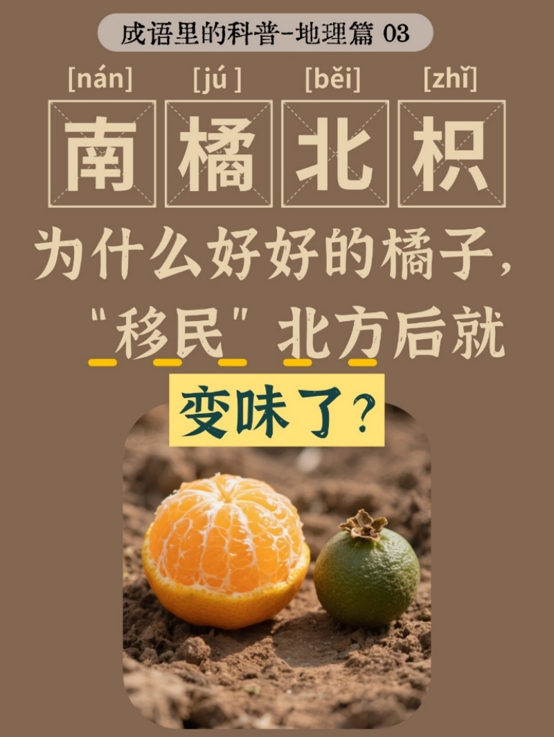 古人观地智慧的现代再审视——蝌蚪五线谱带你解锁成语里的地理奥秘