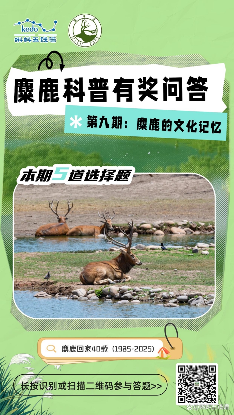 解码麋鹿文化基因！蝌蚪五线谱麋鹿科普有奖问答第九期上线