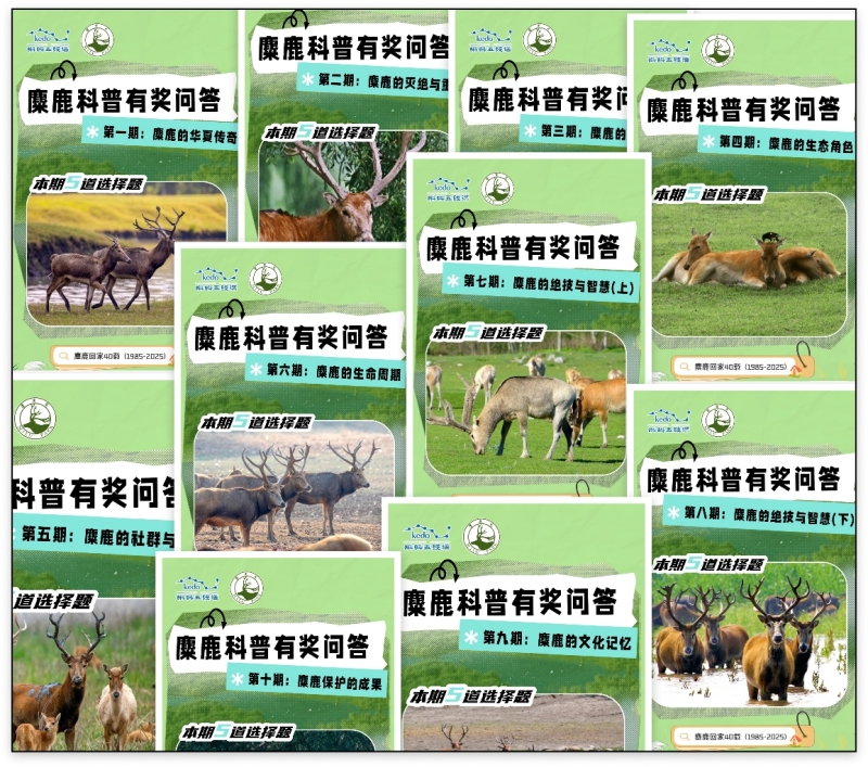 共赴四十年生命之约 蝌蚪五线谱全媒体矩阵推出麋鹿回归科普盛典